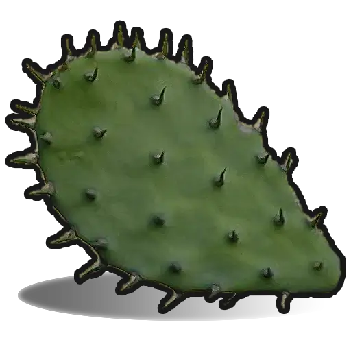 cactus rust